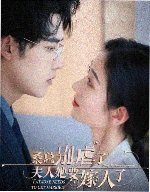 大师兄影视综艺-你好星期六